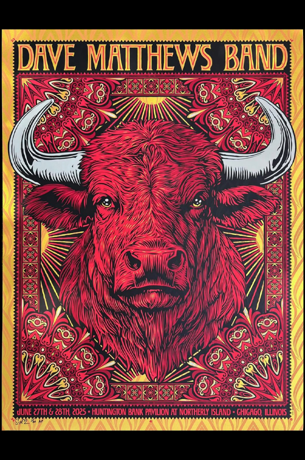 DMB Chicago IL 2025_2_SCALED