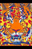 311 Midwest 2014_SCALED