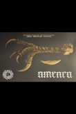 Amenra-Seattle-2024SCALED