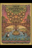 DMB-George-WA-2025-Night-1_SCALED-1