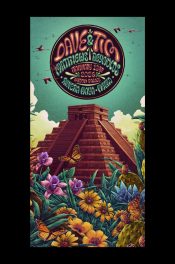 Dave-Matthews-Tim-Reynolds-Riviera-Maya-Mexico-2026-Night-2_Twinhome_SCALED