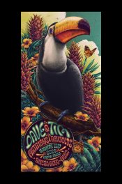 Dave-Matthews-Time-Reynolds-Riviera-Maya-Mexico-2026_-Night1_2_SCALED