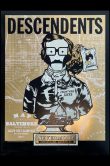 Descendents Baltimore MD 2026_SCALED