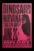 Dinosaur Jr & Nirvana Portland OR 1991_SCALED