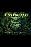 Foo Fighters Big Sky 2023_SCALED