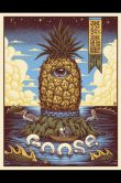Goose Charleston SC 2026_SCALED
