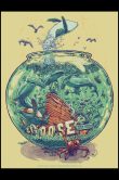 Goose Morrison CO 2026_SCALED