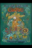 Goose chicago, IL 2025_SCALED