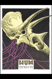 HUM San Diego, CA 2019_SCALED