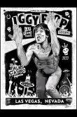 Iggy Pop Vwgas 2023_SCALED