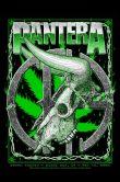 Pantera Green Bay 2024_SCALED