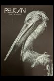 Pelican Karlsruhe Germany 2026_SCALED