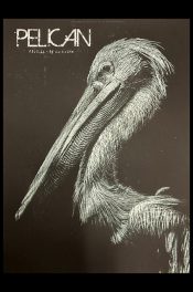 Pelican-Karlsruhe-Germany-2026_SCALED