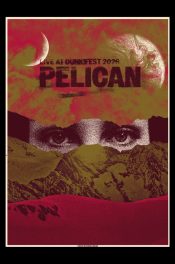 Pelican-Velzeke-Belgium-2026_SCALED