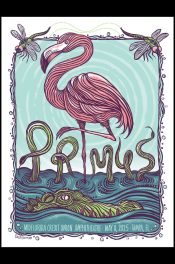 Primus-Tampa-FL-2025_SCALED