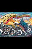 Slightly Stoopid JAX 2024 Night 1_SCALED