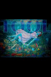 Tool Chicago, IL 2026_1_SCALED