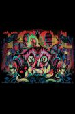 Tool-Hollywood-FL-2024-Night-2_SCALED