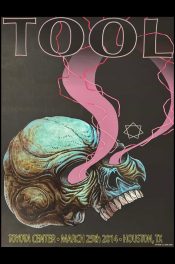 Tool Houston TX, 2014_SCALED