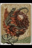 Widespread Panic Morrison CO 2025_Epic Problems_SCALED