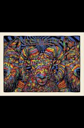 Widespread-Panic-Morrison-CO-2025_ToddSlater_SCALED