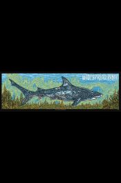 Widespread-Panic-St.-augustine-FL-2026_SCALED