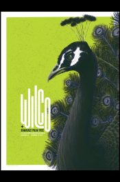 Wilco-San-Diego-2022_SCALED